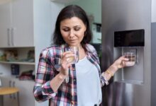 Stay Hydrated and Healthy: The Benefits of an Inline Refrigerator Water Filter